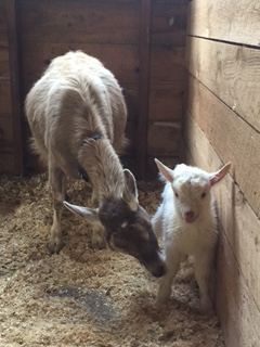 Mother Julia with newborn